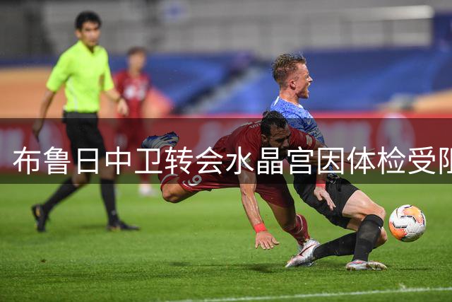 布鲁日中卫转会水晶宫因体检受阻交易终止